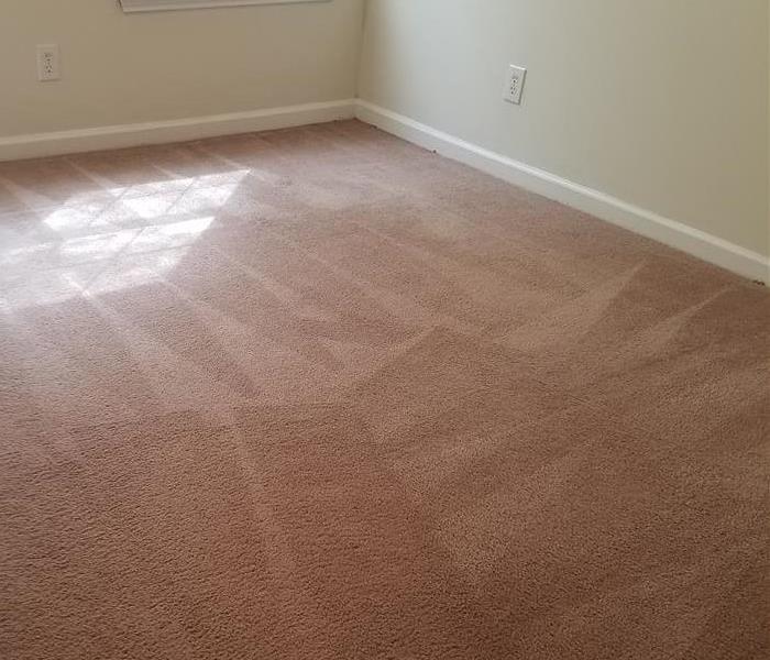 Freshly cleaned carpets