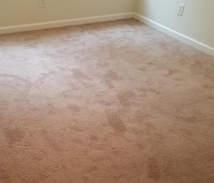 Carpet that needed to be vacuumed and cleaned